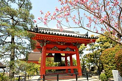 Đến Cố Đô Kyoto Nhật Bản- Chiêm Ngưỡng Chùa Thanh Thủy Kiyomizu-dera