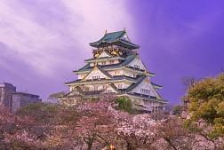 Dịu Dàng Sắc Xuân Nhật Bản Hành Trình Osaka – Nara – Kyoto – Kobe – Osaka