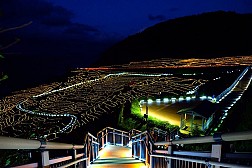 Độc đáo ruộng bậc thang phát sáng bên bờ biển tại Nhật