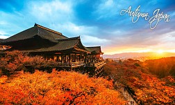 Nagoya - Nara - Osaka - Fuji - Tokyo: Đắm mình trong sắc đỏ vàng của cảnh quan thiên nhiên