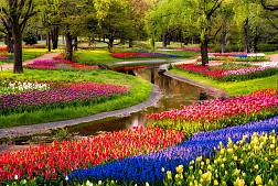 Những trải nghiệm cực kỳ thú vị ở Tokyo
