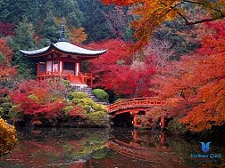Tour ngắm lá đỏ tháng 10& 11: TOKYO - NIKKO - HAKONE