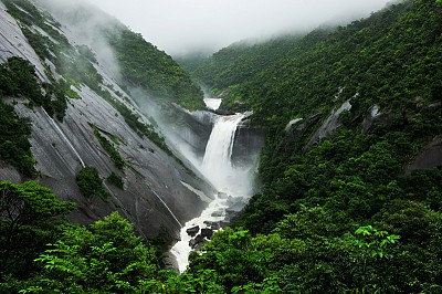 Hòn đảo Yakushima - Thiên đường xanh của Nhật Bản Hòn đảo Yakushima - Thiên đường xanh của Nhật Bản
