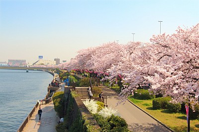 Những điều lưu ý khi tới Nhật Bản Những điều lưu ý khi tới Nhật Bản
