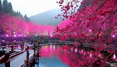 Oshougatsu- Tết cổ truyền tại Nhật Bản Oshougatsu- Tết cổ truyền tại Nhật Bản