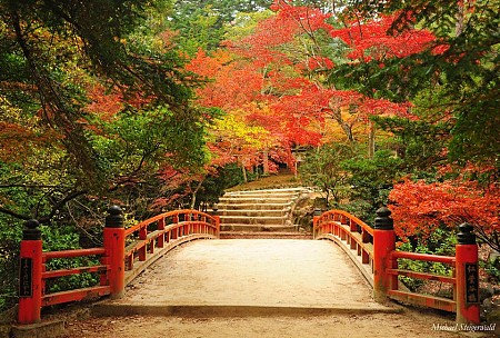 5 địa điểm tuyệt vời nhất mùa lá đỏ Nhật Bản