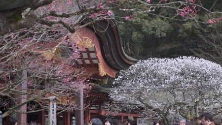 Đền Dazaifu Tenmangu thờ vị thần học vấn Kyushu Nhật Bản