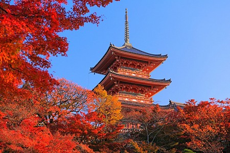 Giới Thiệu Chùa Kiyomizu Khi Tới Cố Đô Kyoto Nhật Bản