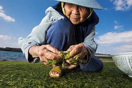 Khám Phá Lý Do Người Dân Trên Đảo Okinawa Sống Thọ