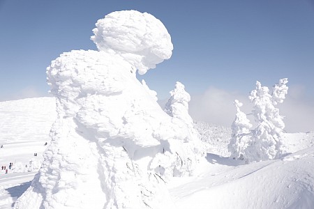 Khu rừng “quái vật tuyết” trên núi Zao ấn tượng tại Nhật Bản