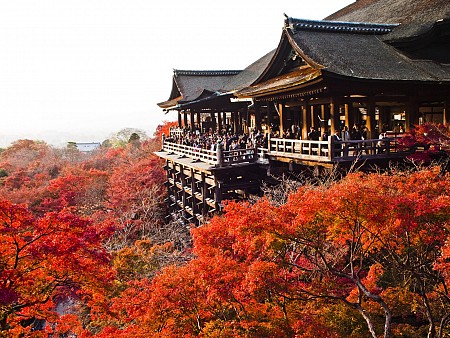 Kyoto - Cố đô nổi tiếng bậc nhất tại Nhật Bản