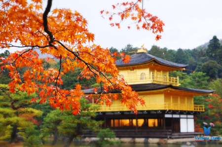 Kyoto Lọt Top 10 Thành Phố Đáng Để Đến Nhât Nhất Thế Giới