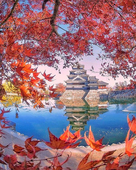 Mùa thu Nhật Bản rợp trời lá đỏ