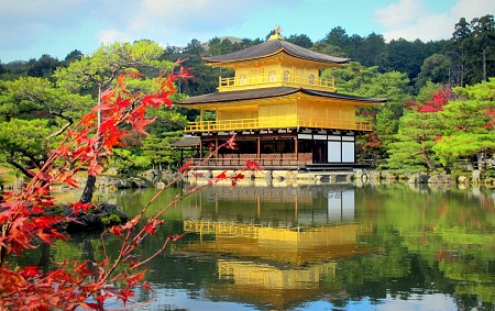 Nhật bản không chỉ có hoa Anh Đào