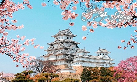 Osaka - Kobe - Kyoto - Hamamatsu - Phú Sỹ - Tokyo Mùa Hoa Anh Đào: Trải nghiệm vẻ đẹp tuyệt vời của hoa anh đào trong chuyến đi tuyệt đẹp này