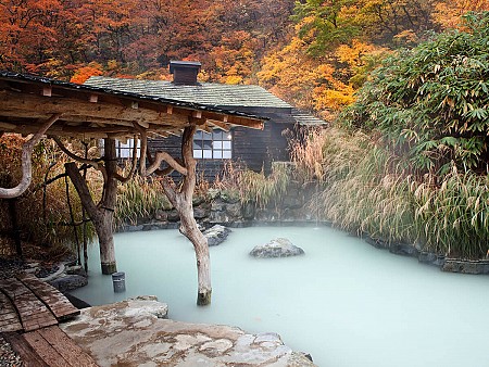 Top 10 địa điểm ngắm lá đỏ Nhật Bản ấn tượng nhất