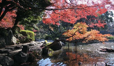 Top 10 địa điểm tuyệt vời vào mùa thu Nhật Bản
