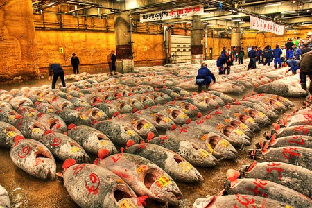 Trải Nghiệm Bầu Không Khí Nhộn Nhịp Tại Chợ Cá Tsukiji Nhật Bản