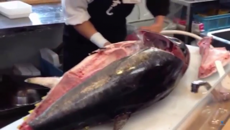 Xẻ thịt các Ngừ tại Tsukiji làm sushi ở Nhật Bản