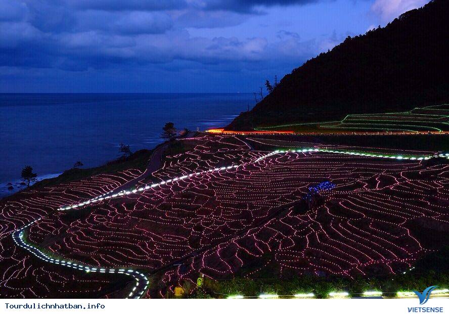 Độc đáo ruộng bậc thang phát sáng bên bờ biển tại Nhật - Ảnh 3