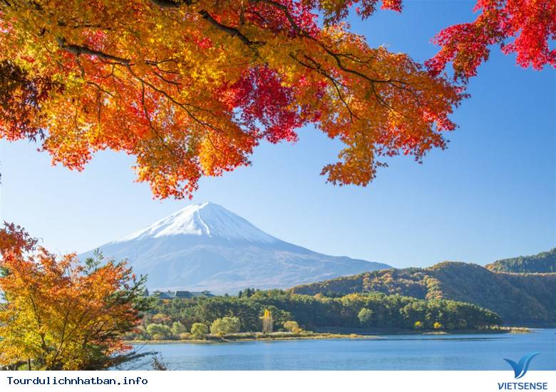 Hãy cùng chiêm ngưỡng những cảnh sắc nên thơ và đẹp tuyệt vời của mùa thu Nhật Bản trong hình ảnh đầy màu sắc và ấm áp. Qua đó, bạn có thể cảm nhận được tinh hoa văn hóa Nhật Bản mùa thu cùng với những nụ cười xinh đẹp của người dân xứ sở Phù Tang này.